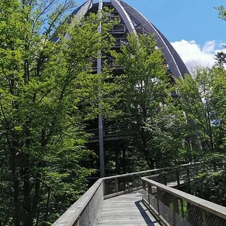 Ferienland Sonnenwald 11 شقة *