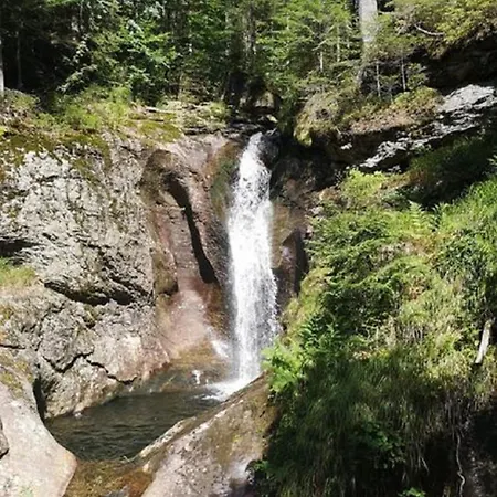 Ferienland Sonnenwald 11 Schöfweg