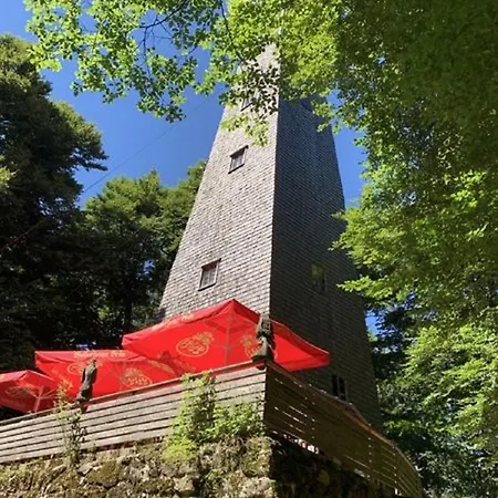 Ferienland Sonnenwald 11